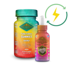 Royal Mushroom Ultimate Energy Boost Bundle